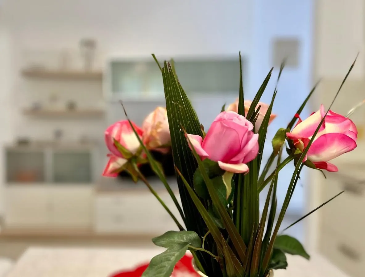 Daire Apartman Nera Mali Lošinj Hırvatistan